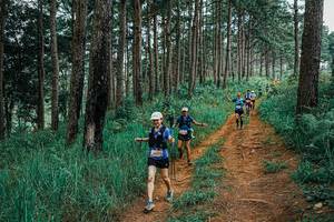 BIB: 
                            <button type="button" onclick="openModal(25659784)" class="btn btn-primary btn-sm float-right btn-popup" data-toggle="modal" data-target=".modal-high-quality">
                        <i class="fas fa-shopping-cart"></i> Add to Cart
                    </button>
                                            <button type="button" onclick="isThisMe(25659784, true)" class="btn btn-success btn-sm float-right btn-popup btn-isme hidden" data-toggle="tooltip" data-placement="bottom" title="นี่คือรูปของคุณใช่ไหม คลิกที่นี่เพื่อเอาเข้าอัลบั้ม">
                        <i class="fas fa-plus"></i> Add to album
                    </button>
                    <button type="button" onclick="isThisMe(25659784, false)" class="btn btn-warning btn-sm float-right btn-popup btn-isnotme hidden">
                        <i class="fas fa-ban"></i> Remove from album
                    </button>